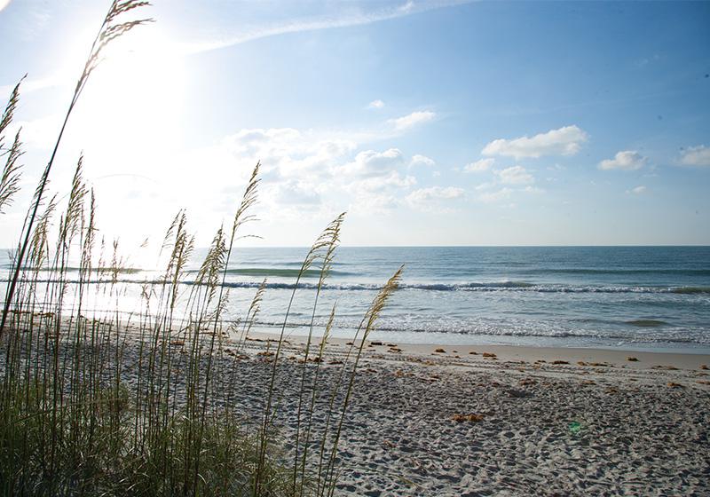 jaxx_isback's tweet card. Bay View Resort