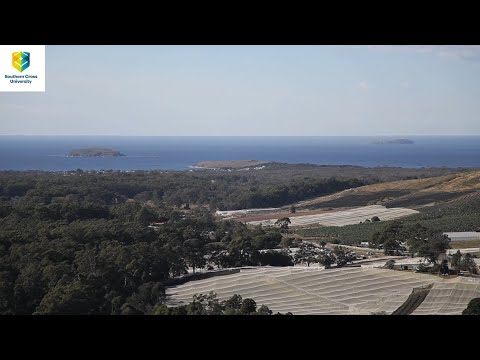 NMSCSCU's tweet card. Woodchip bioreactors helping farmers reduce fertiliser pollution in...