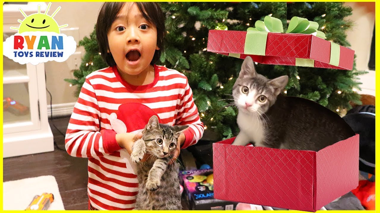 jcsherelive's tweet card. Surprise Ryan with Two Cats for Christmas!