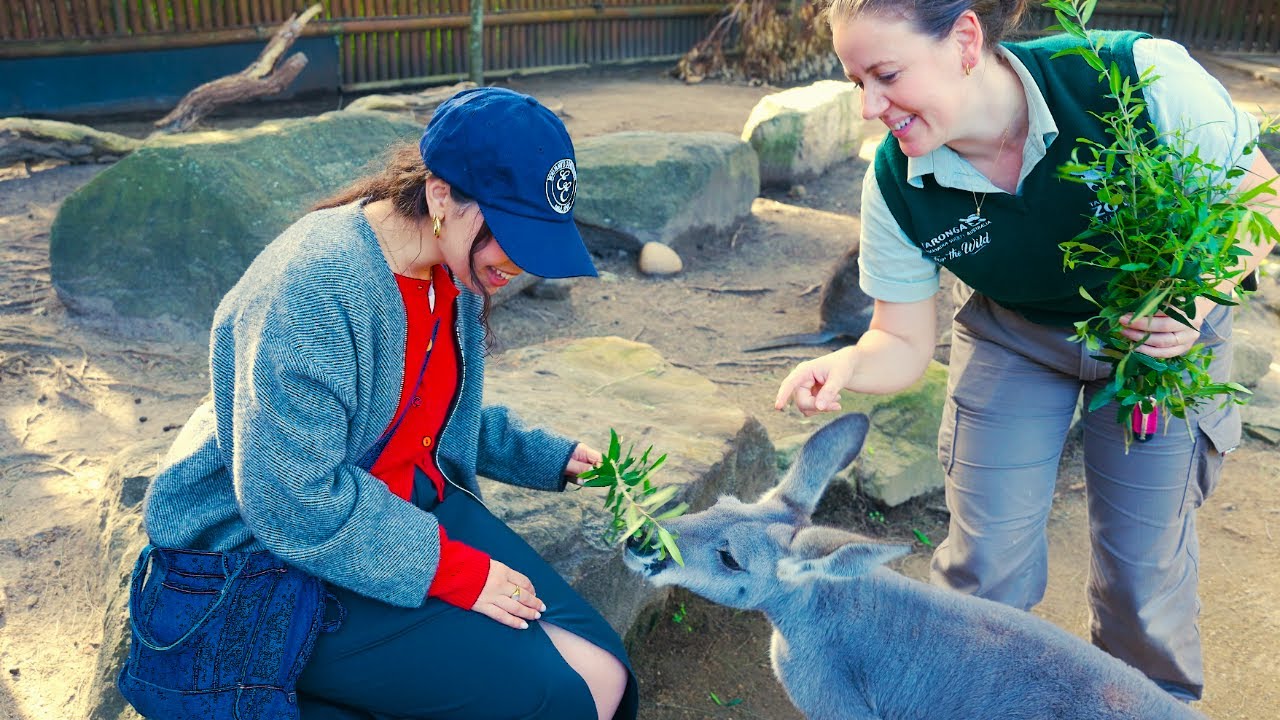 alessiacara's tweet card. Crying & Yacking - Alessia Cara - The Love & Hyperbole Tour: Episode 2