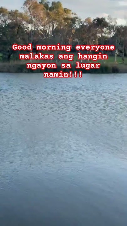CabahugDah25988's tweet card. Magandang araw sa lahat #farming #highvibes #music #farminglife...