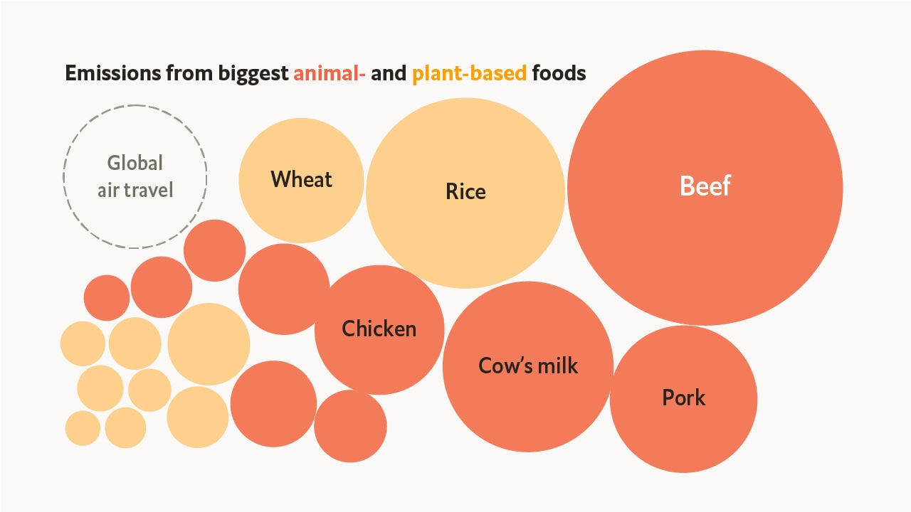 TheEconomist's tweet card. Cattle are a surprisingly large producer of greenhouse gases