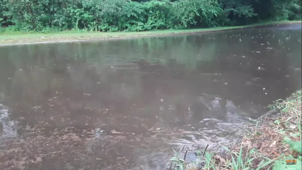 RichBennerSQL's tweet card. I Found A Drain And Drained A Flooded Street During A Storm