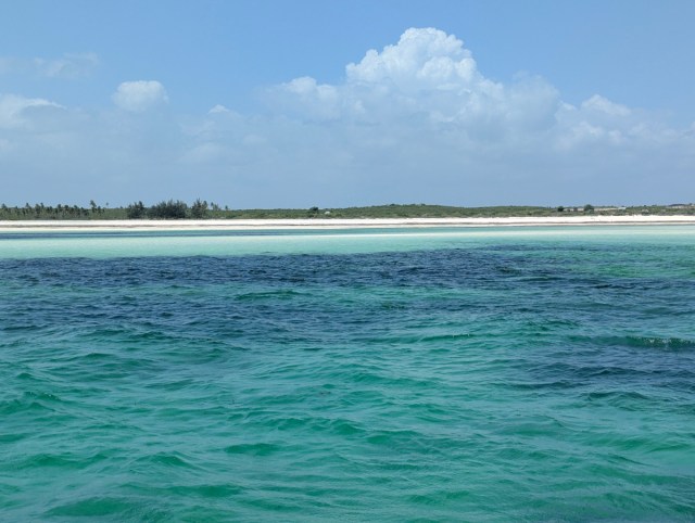 nimsmayers's tweet card. No Human is limited