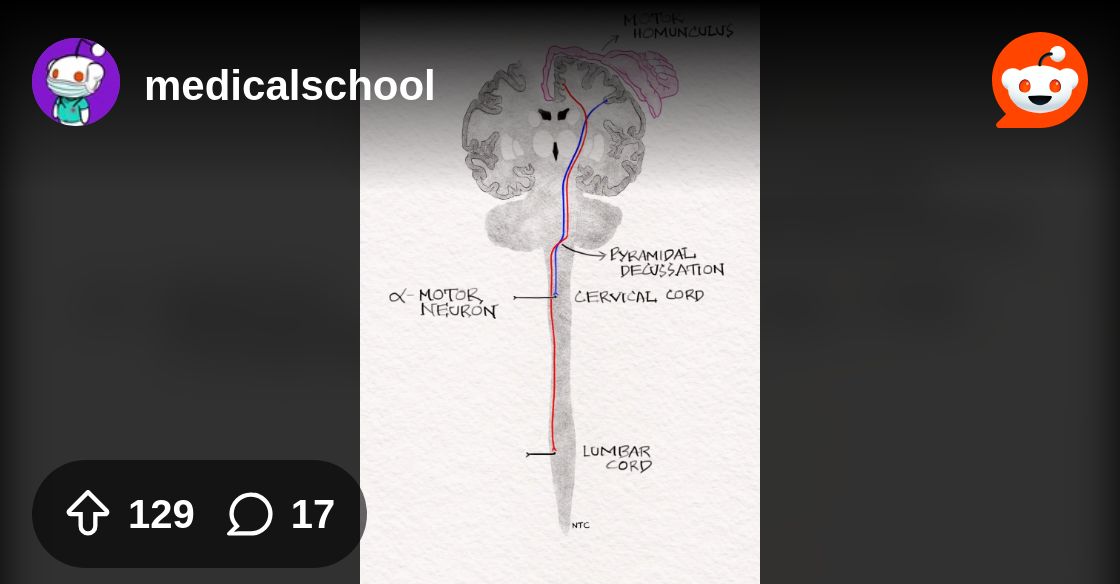 neuroteaching's tweet card. Explore this post and more from the medicalschool community