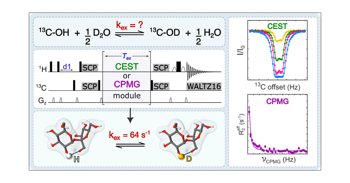 J_A_C_S's tweet card. Molecular recognition events mediated by glycans play pivotal roles in controlling the fate of diverse biological processes such as cellular communication and the immune response. The affinity of...