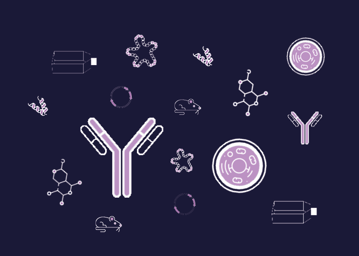 CRUKLungCentre's tweet card. The CRUK Lung Cancer Centre of Excellence deposits 43 new NSCLC PDX models with CancerTools.org to accelerate lung cancer research.