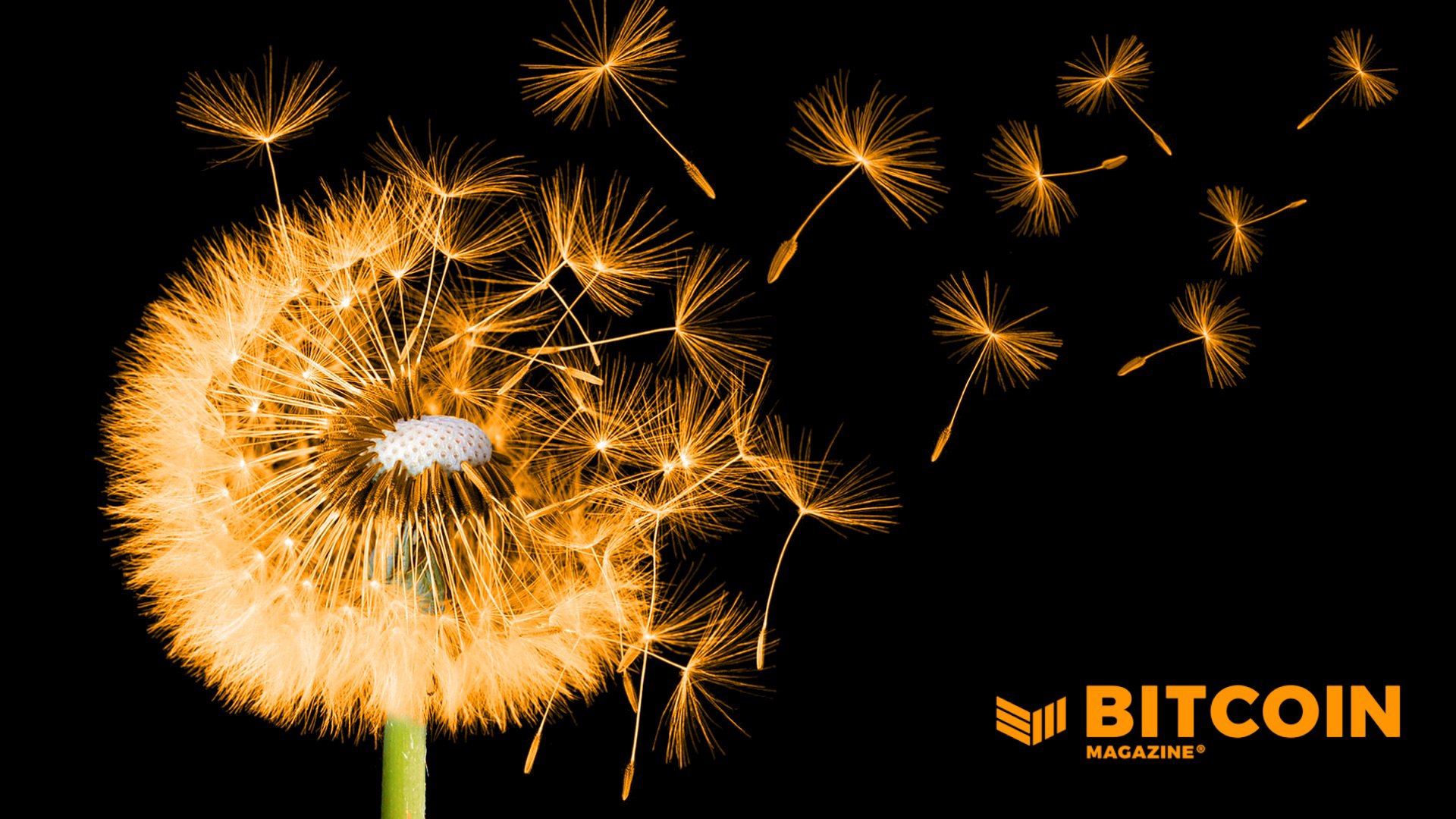 wcplayground's tweet card. Upon understanding it, Bitcoin fundamentally changes the way people see the future of money.