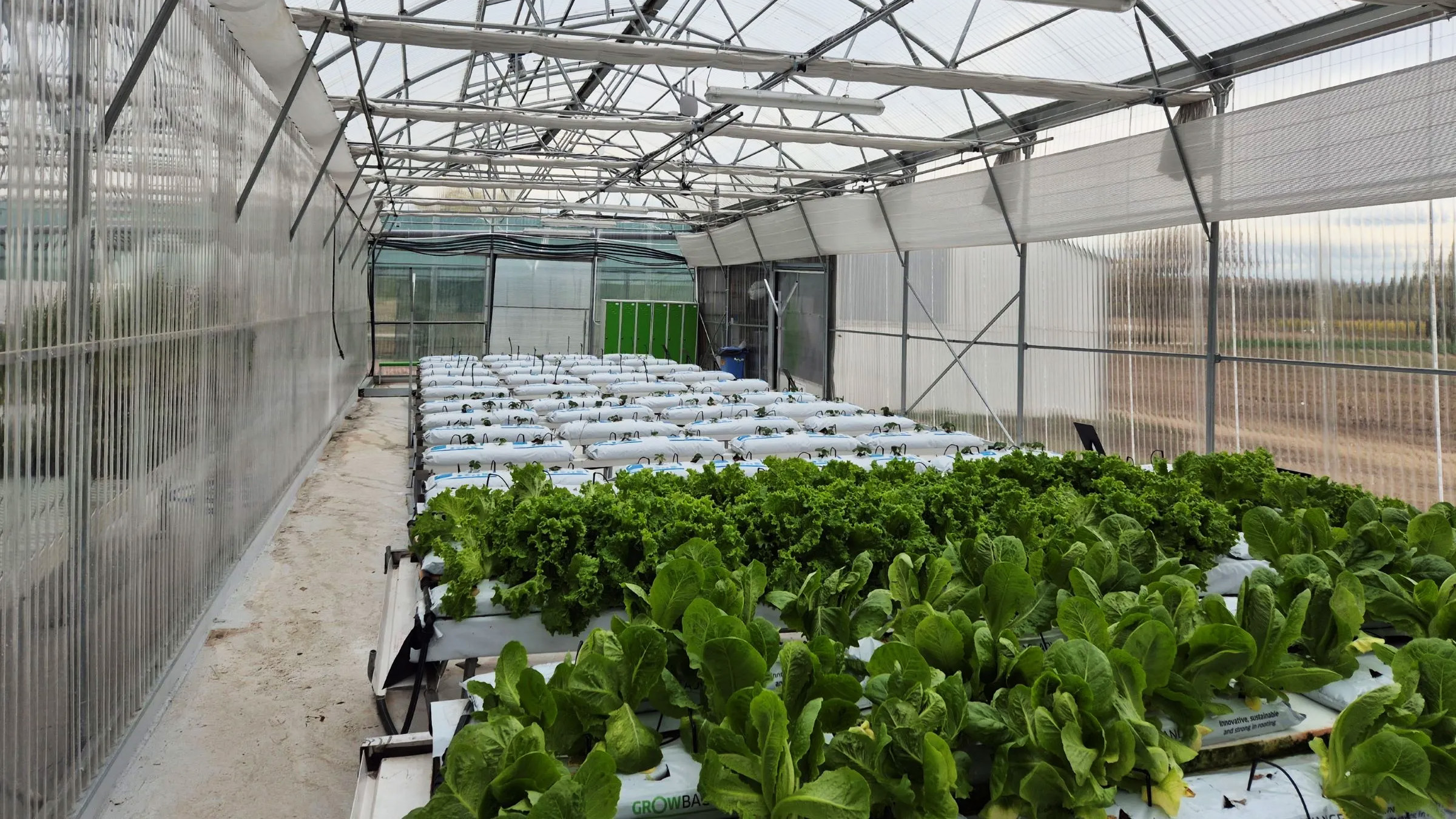 CiscoPartners's tweet card. "Explore how the American Farm School in Greece is revolutionizing agriculture with Cisco's IoT smart greenhouse technology."