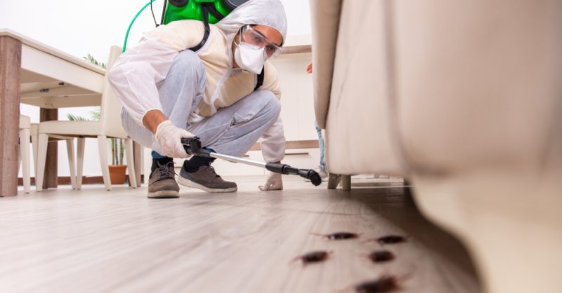 JordenJack0's tweet card. Multipest Ltd provides pest control in Watford, Northwood, Bushey, Rickmansworth and throughout Hertfordshire. Pest control services include the removal of wasp nests, vermin control rats, mice and...