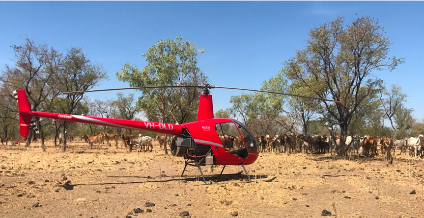 fsdpodcast's tweet card. An evening helicopter flight ended in tragedy when an overconfident pilot was killed when it crashed into trees at about 88 knots.