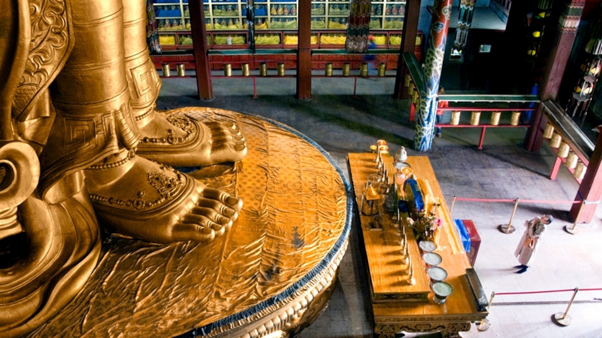 FreeMarc2011's tweet card. Looking for an out-of-the-ordinary destination for your next vacation? Check out these 20 top trips, hand-picked by National Geographic Traveler editors as the best of 2011.