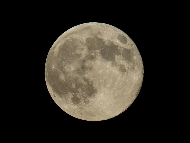 OSA_projects's tweet card. Frozen water has been discovered for the first time hiding in shadowy craters on the surface of the moon.