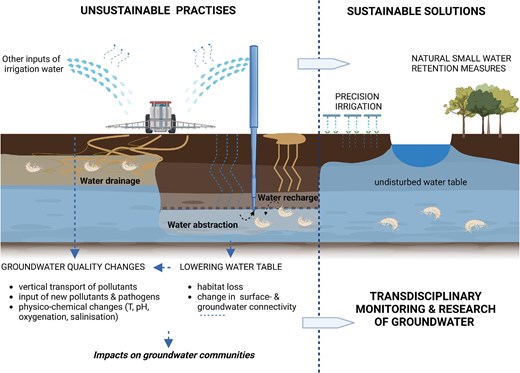 BiodiversaPlus's tweet card. Abstract. Groundwater provides much of the water used globally for irrigation and human consumption and is central to the One Health framework. Healthy gro