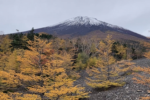 bgr_toc's tweet card. ★★ Camp STAR ★★