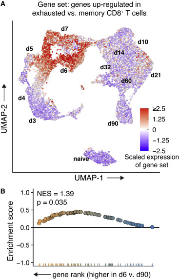 A_Wieland_PhD's tweet card. Hudson and Wieland discuss the opportunities and challenges of studying the complex tumor microenvironment with multidimensional technologies that generate vast amounts of data, highlighting the...