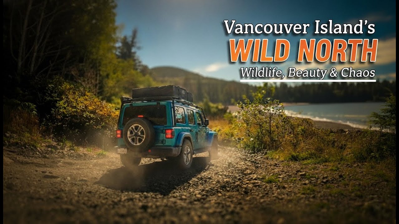 APsalmanD's tweet card. Epic NORTH VANCOUVER ISLAND Camping Adventure: Wildlife and Beauty