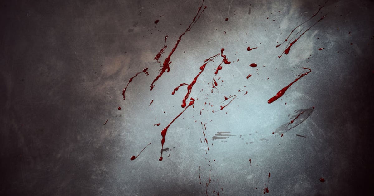 GreatExploits7's tweet card. Thirteen suspects have been arrested after an attack on a farm in Heilbron in the Free State in the early hours of Saturday in which a farm worker was shot dead.