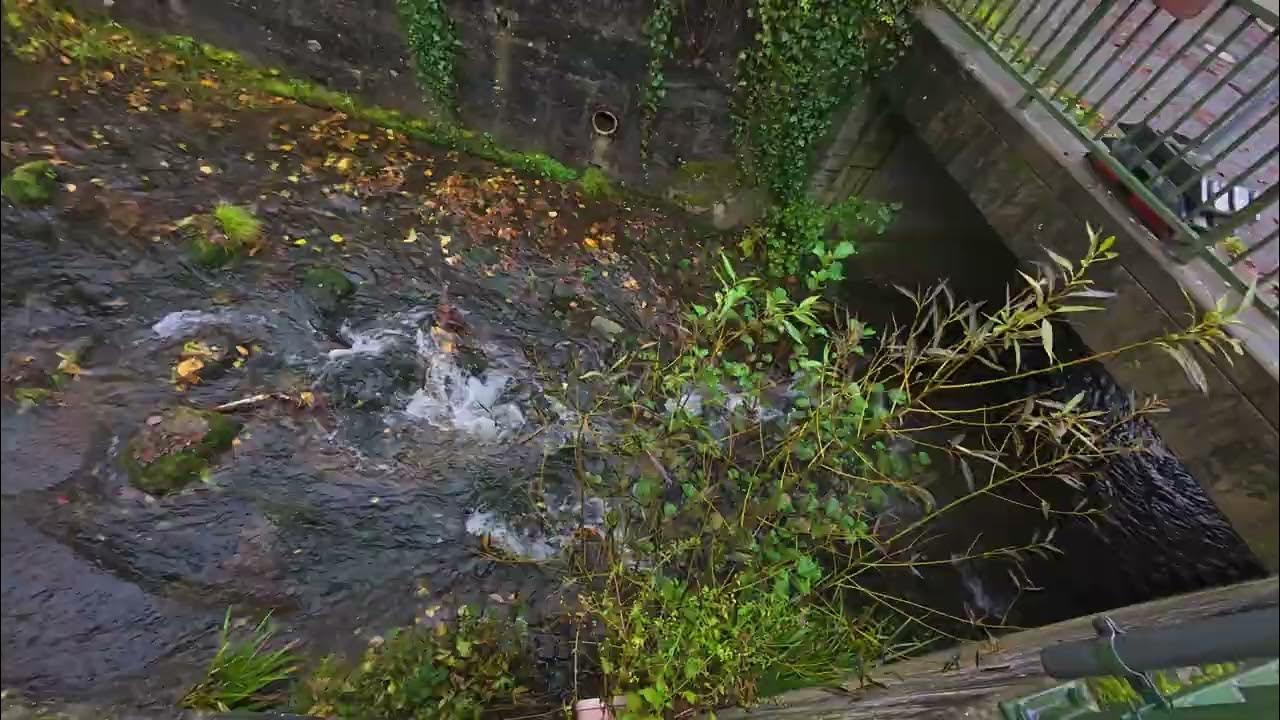 toherefromthere's tweet card. Yesterday's trip