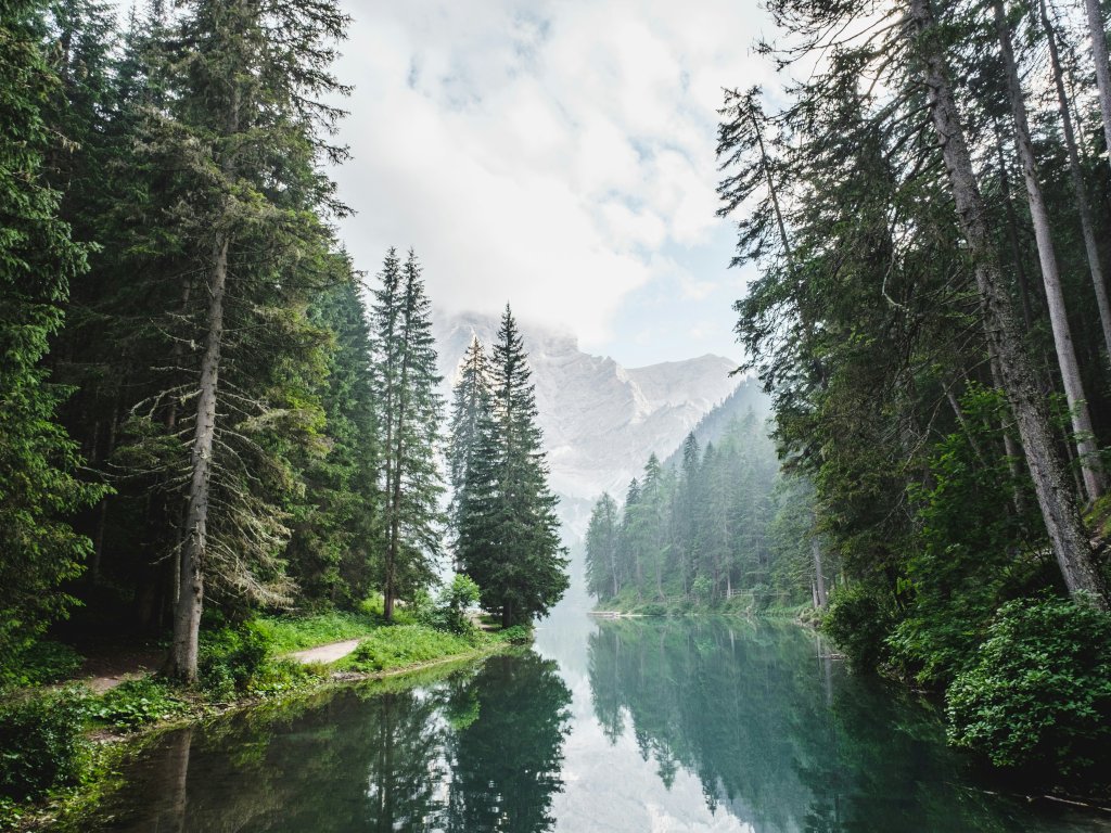 IsonomiaBlog's tweet card.   Last September, the Taskforce on Nature-related Financial Disclosures (TNFD) published its Final Recommendations. The resulting TNFD framework (often referred to simply as “TNFD”) is a voluntary...