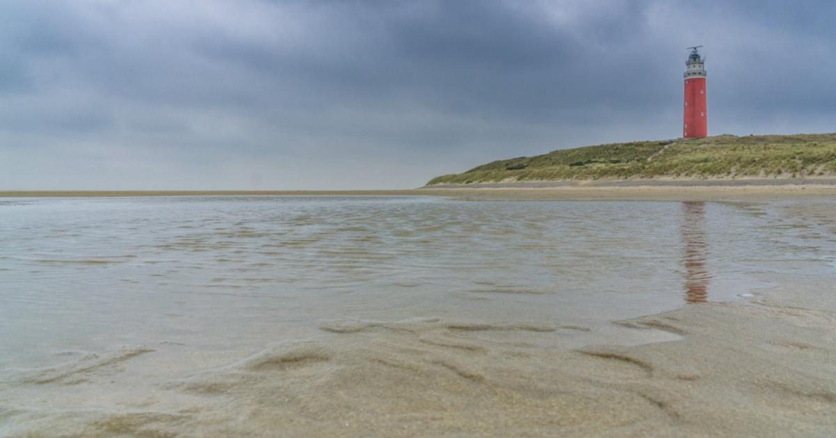 wouterkeller's tweet card. Vandaag in NRC samen met Follow the Money NL een artikel over stikstofbeleid. https://lnkd.in/eqGi9sVN Niet over de schijnwerkelijkheid en rechtsonzekerheid waardoor al zes jaar boeren zonder...