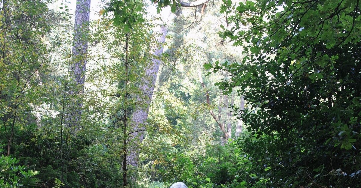 alzheimernl's tweet card. Twee dagen en nachten dwaalde Trees Noldus (82) door de bossen. Ze is een van de vele ouderen die soms de weg naar huis niet meer vinden. Opsluiten dan maar?