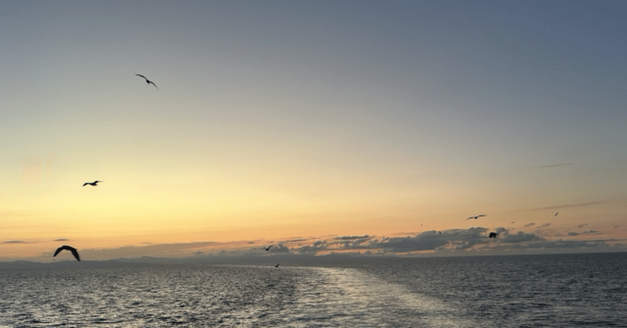 honami_ai_happy's tweet card. 生きていると、感情は波のように押し寄せてくる。 喜び、怒り、悲しみ、、、 どれも“人間らしさ”の証だけれど、 その波に飲まれると、いつの間にか心が疲れてしまう。 「感じすぎて、もう何もしたくない」 そう思う日は、誰にでもあると思う。 最近気づいたことがある。 感情は“湧いてくるもの”じゃなく、 "使っているもの"でもあるということ。 怒ることも、悲しむことも、 ある意味では「エネルギーの使い方」...