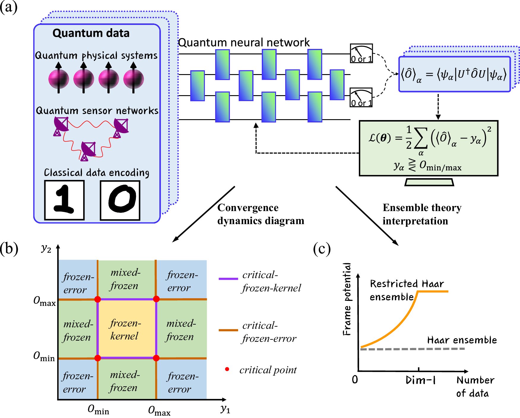 Murmurs_Madness's tweet card. npj Quantum Information - Quantum-data-driven dynamical transition in quantum learning