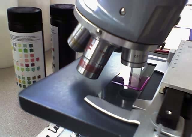 isciencejournal's tweet card. Fund crunch slows down development of a ‘warm’ COVID-19 Vaccine which does not need a cold chain for storage and transportation, by a team of scientists at Indian Institute of Science (IISc),...