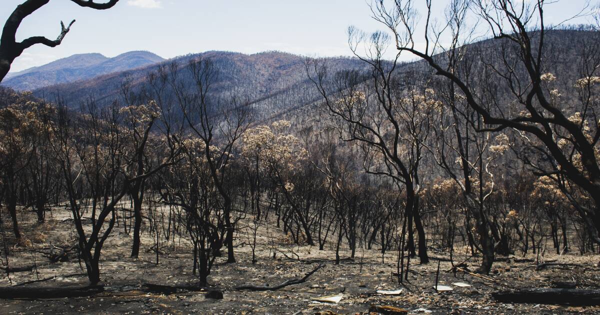 canberratimes's tweet card. A study by Natural Hazards Research Australia and RMIT University is aiming to improve fire maps used by...