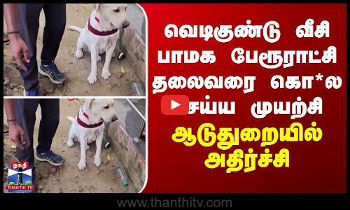 Girikumaran9's tweet card. வெடிகுண்டு வீசி பாமக பேரூராட்சி தலைவரை கொ*ல செய்ய முயற்சி - ஆடுதுறையில் அதிர்ச்சி