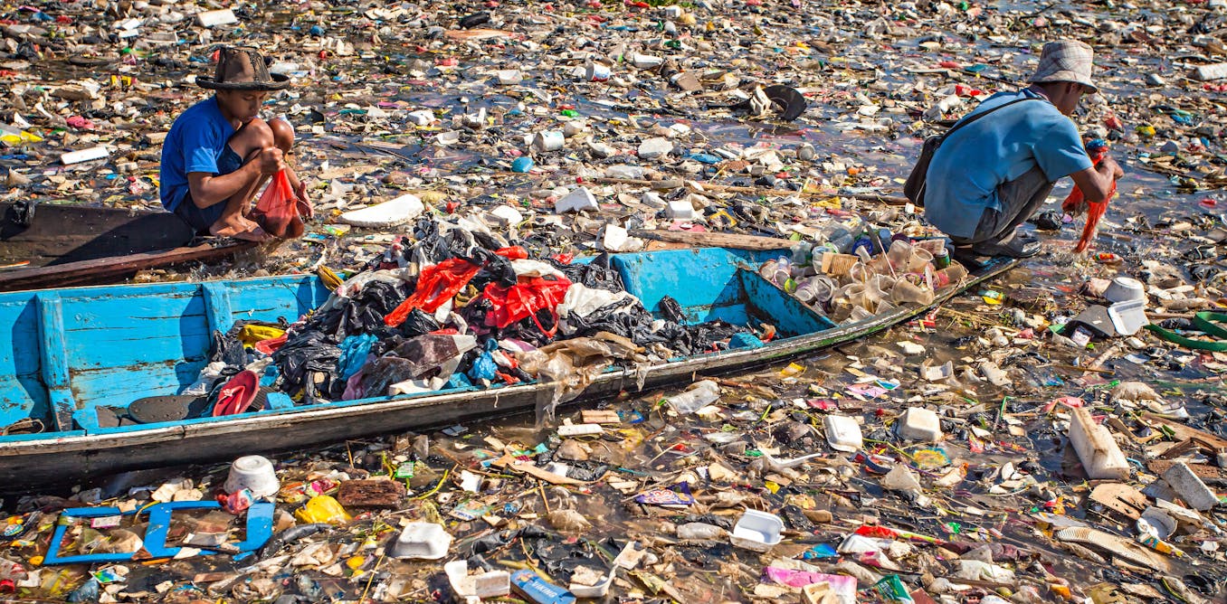 WinnieCJ's tweet card. The talks in Geneva may be the world’s last chance to agree a strong treaty to tackle plastic pollution, scientists warn.