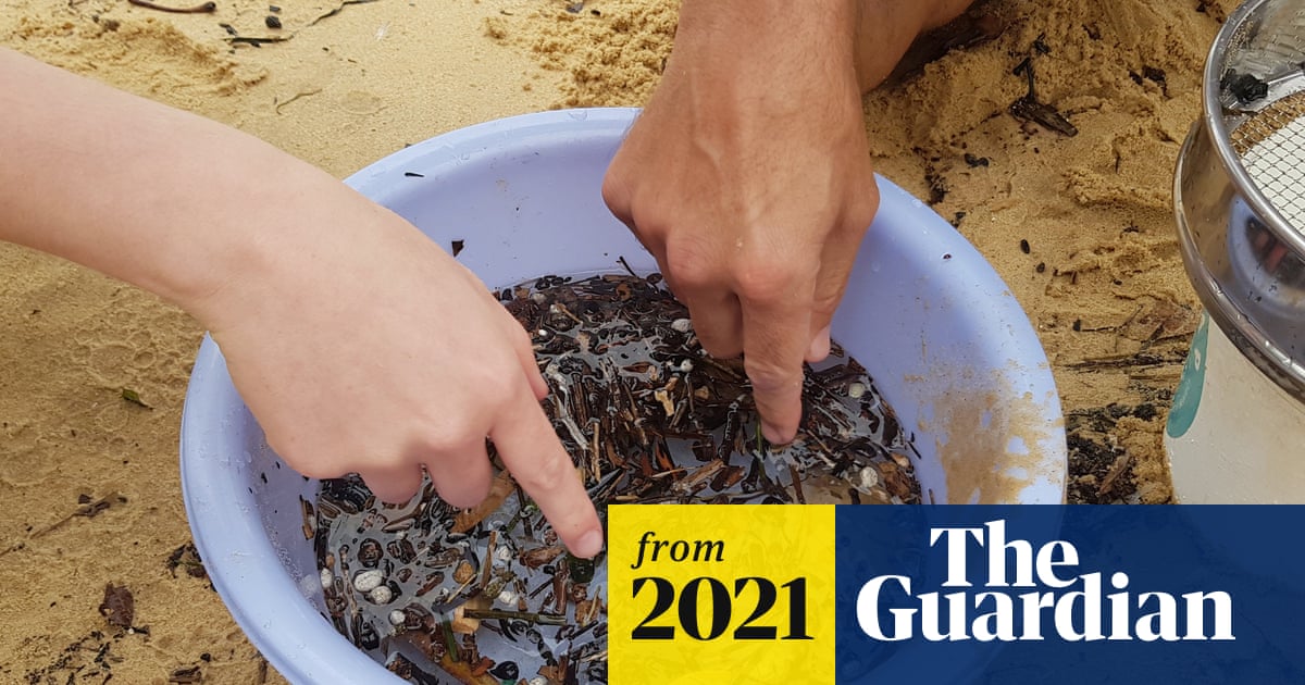 guardianscience's tweet card. Sticky property of bacteria used to create microbe nets that can capture microplastics in water to form a recyclable blob