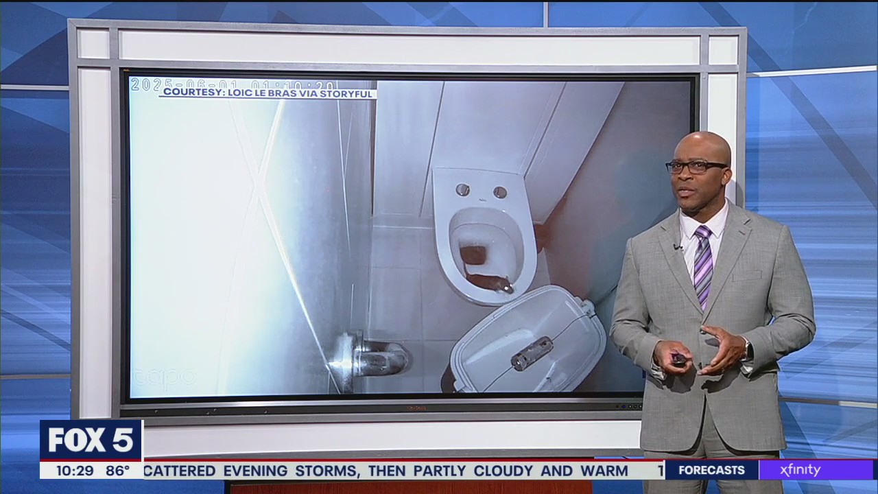 Multiflap's tweet card. A camera in a French home caught the wild moment a rat crawled up a toilet and started exploring a bathroom.