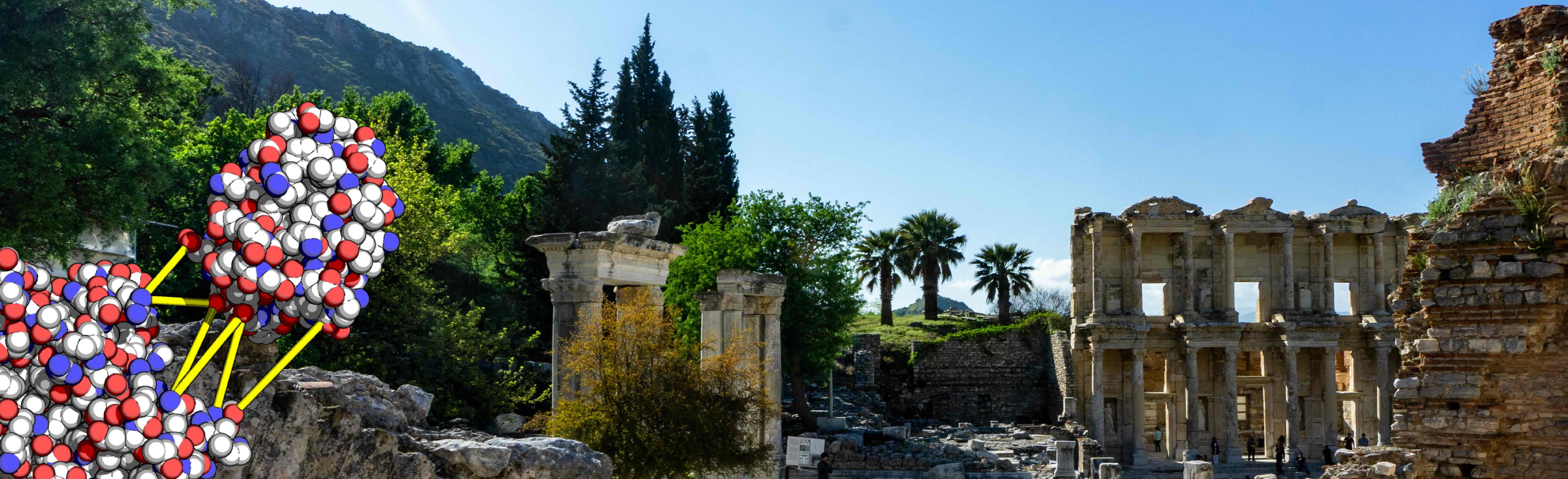 ibgmerkezi's tweet card. Experimental structural studies of interactions can be costly, low-throughput, and challenging. Therefore, computational methods aiming to model protein complexes are particularly valuable. The accur…