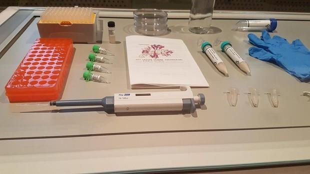 CRISPR_News's tweet card. Because gene SDR42E1 is involved in vitamin D metabolism, scientists could also target it in any of the many diseases.