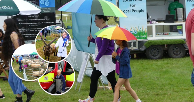 Tweet card summary image