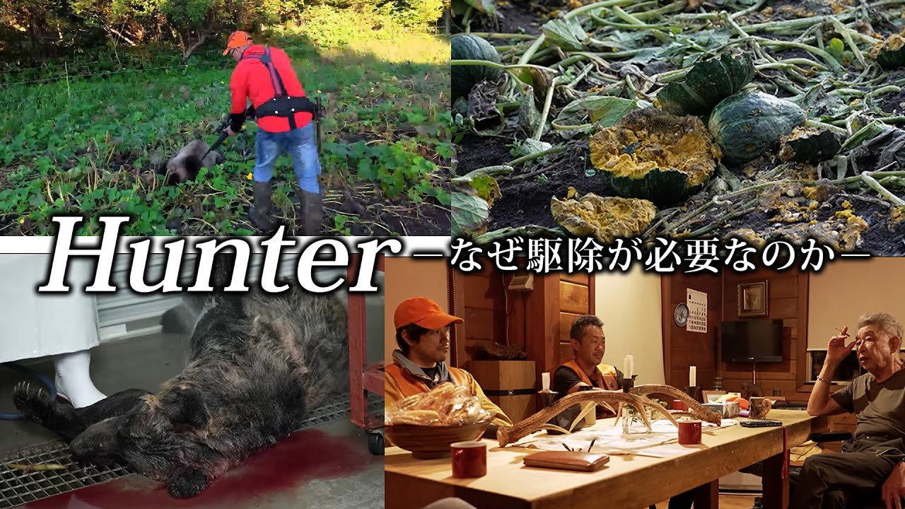 gsarutter's tweet card. Hunterーなぜ駆除が必要なのかー