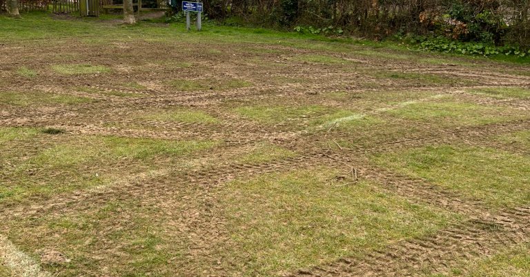 Tweet card summary image