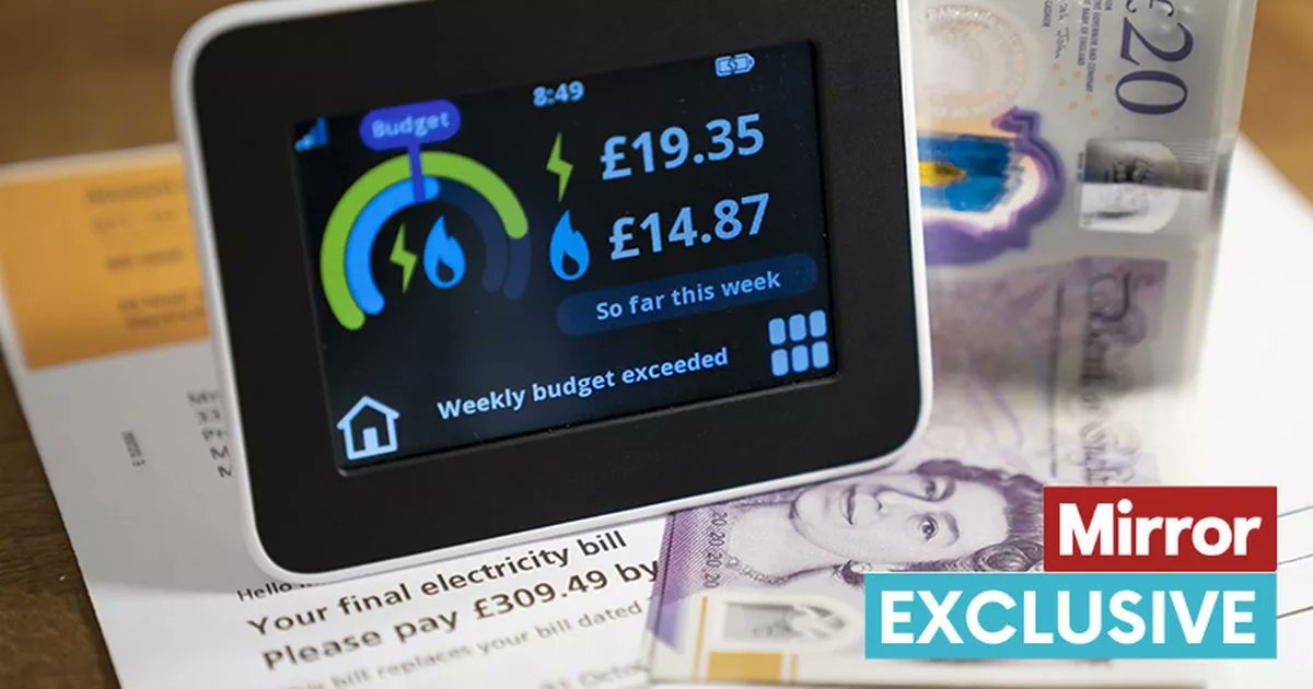 LibDems's tweet card. An EXCLUSIVE Daily Mirror poll reveals more than eight out of 10 people back immediate action to prevent ­families on the brink plunging further into the mire