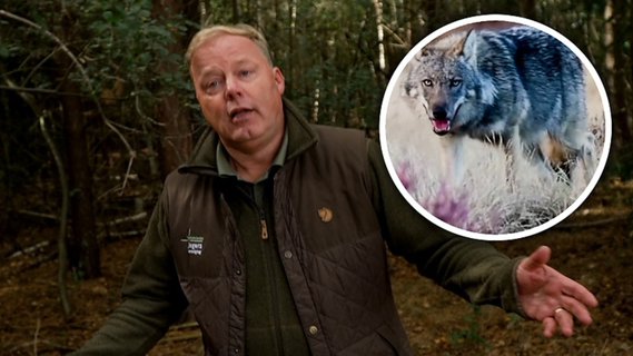 Image for twitter card