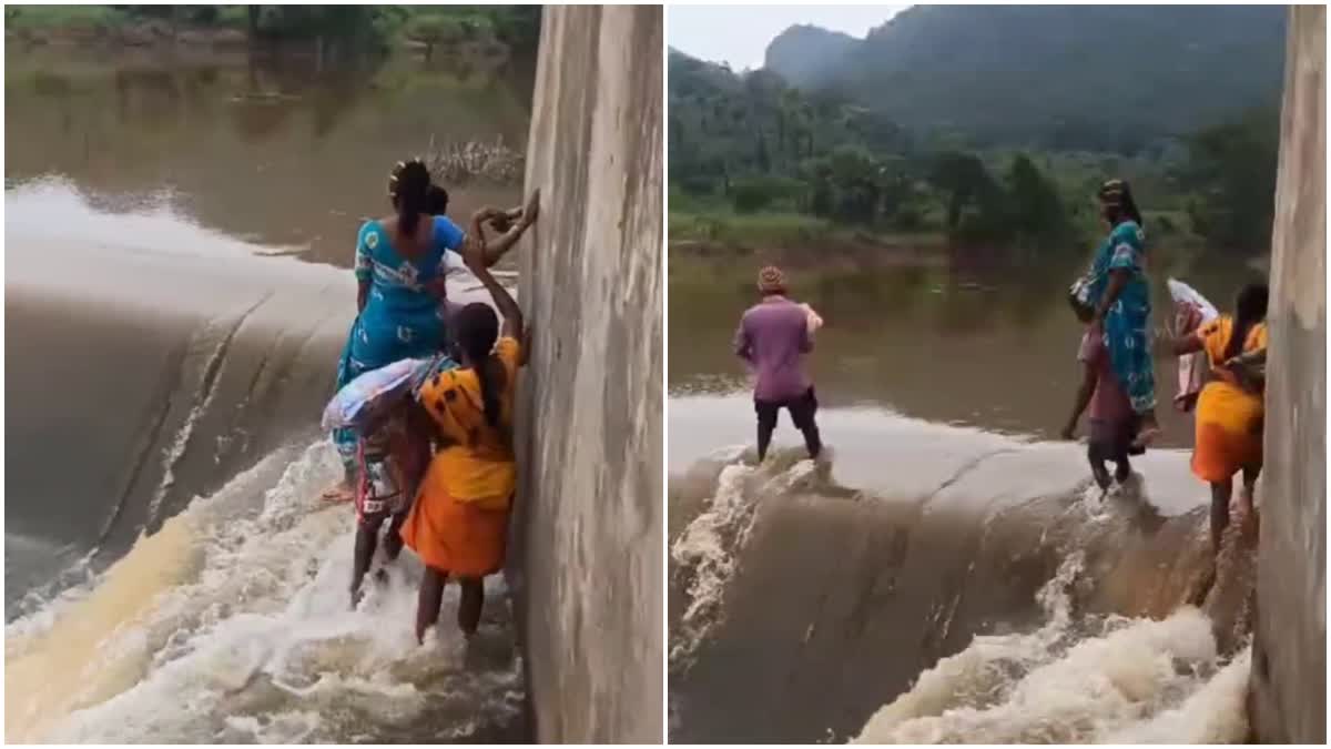 ETVBharatAP's tweet card. Family Members Crossed Dam Carrying Pregnant Woman on Shoulders: సరైన రోడ్లు లేక అల్లూరి జిల్లాలోని ప్రజలకు అవస్థలు తప్పడం లేదు. గర్భిణీలు, బాలింతలు వర్షాకాలంలో ఆసుపత్రికి లేదా ఇంటికి వెళ్లాలంటే నానా...
