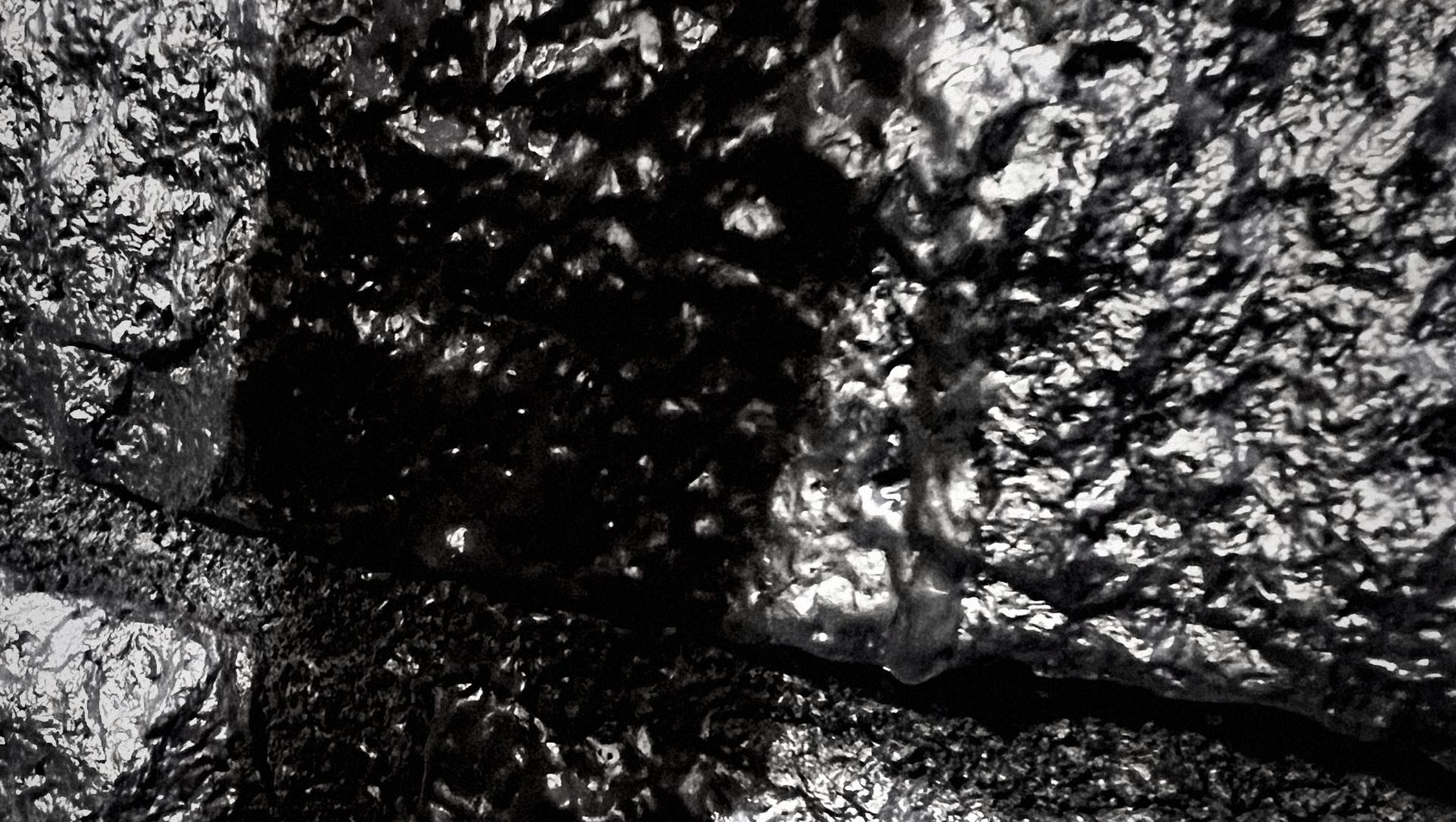 leninology's tweet card. Why, and how, are any of us capable of self-reflective thought? Of experiencing emotion, ratiocination, preference, cold, whim, melancholy, joy? Anything at all?