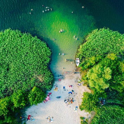 Tweet card summary image