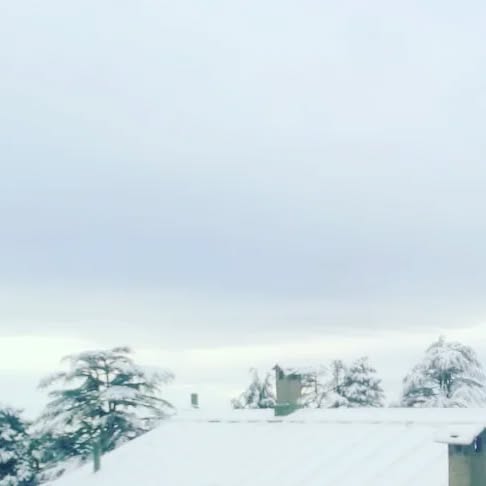 mohitpathak91's tweet card. Mohit Pathak (@mohit.pathak.739) • Instagram photo