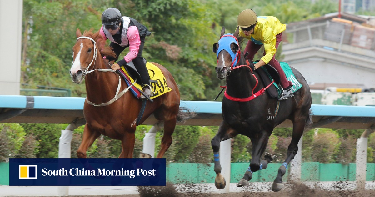 SCMPRacingPost's tweet card. Derek Leung Ka-chun is optimistic Lucky Sweynesse will bounce back from his Group One Sprinters Stakes (1,200m) defeat when he takes on superstar sprinter Ka Ying Rising in Sunday’s Group Two BOCHK...