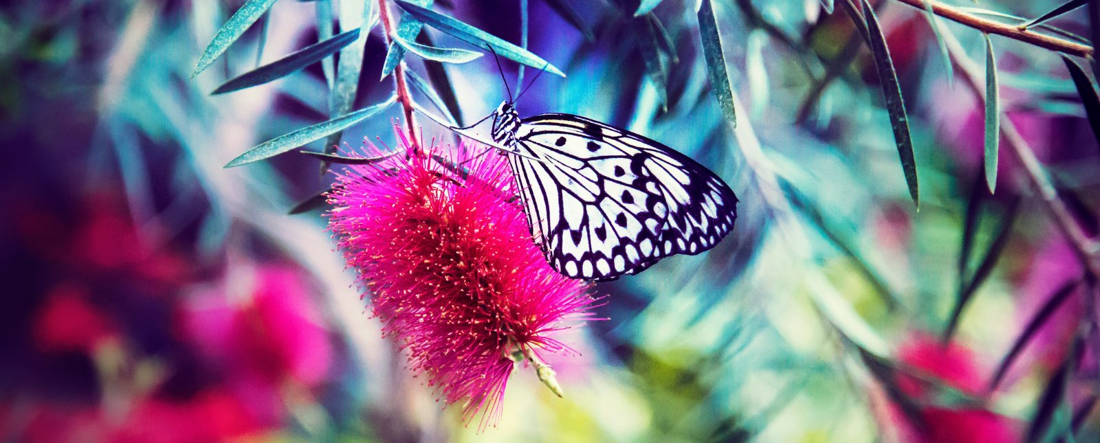 ECPR_TheLoop's tweet card. Michał Biedowicz outlines a tripartite caveat for this new phase of the Science of Democracy discussion by considering a concept well known but rarely engaged in the study of politics: ideology....