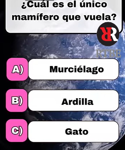 PeriodicoBalear's tweet card. Noticias de Baleares, Periódico de Baleares, periódico español, periódico de España, Internacional, Poesía, Relatos, Sucesos, Deportes,