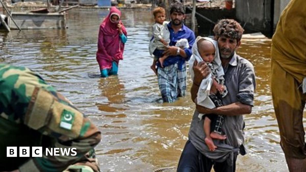 JamieNite66's tweet card. The past 12 months have been a "wasted year" on climate change says the UN Environment Programme.