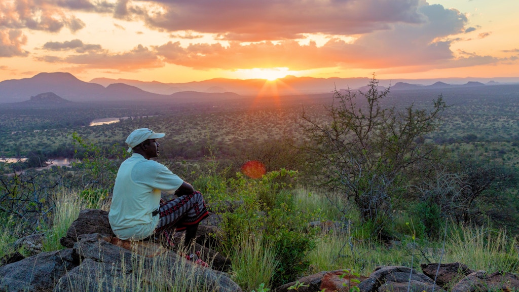 WhitleyAwards's tweet card. On Wednesday 1 May at 19.30 BST, we will announce and celebrate the winners of the 2024 Whitley Awards at a ceremony in London, hosted by WFN Ambassadors Tom Heap and Kate Humble and attended by the…